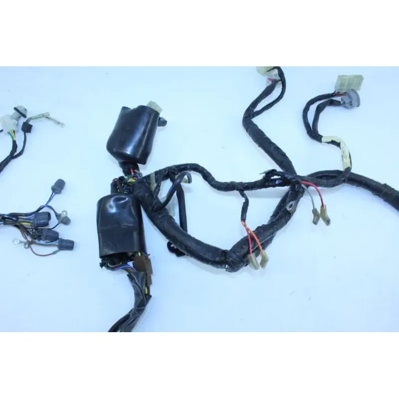 Faisceau electrique YAMAHA TDM 850 1996 - 2002