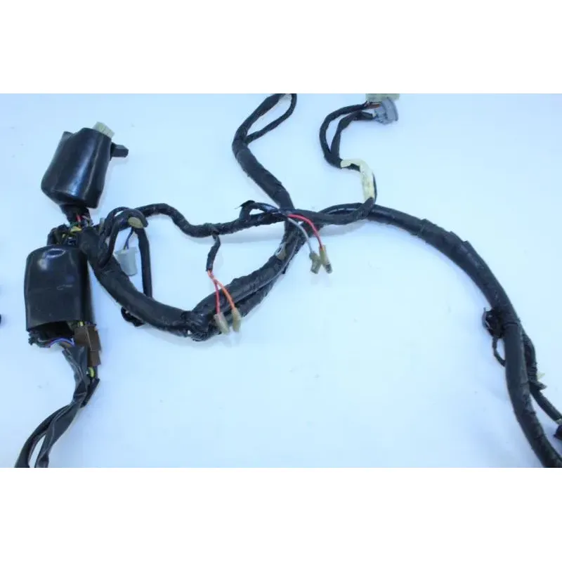 Faisceau electrique YAMAHA TDM 850 1996 - 2002