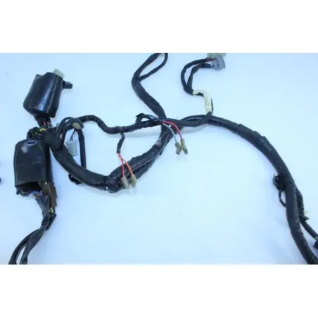Faisceau electrique YAMAHA TDM 850 1996 - 2002