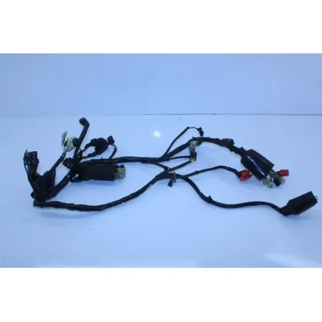 Faisceau electrique HONDA CBF 125 2009 - 2014