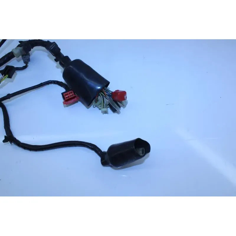 Faisceau electrique HONDA CBF 125 2009 - 2014