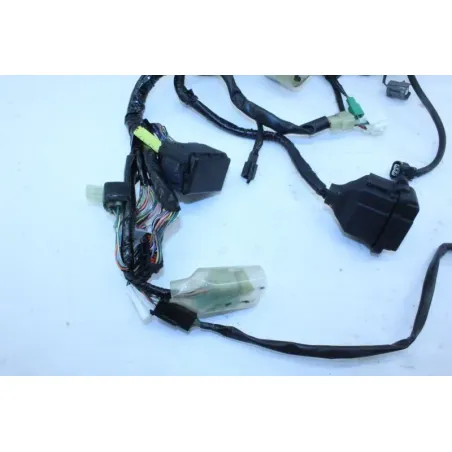 Faisceau electrique HONDA CBF 1000 2006 - 2012