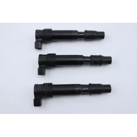 Bobine allumage TRIUMPH STREET TRIPLE 765 RS ABS 2023 - 2024