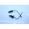 Clignotants arriere KAWASAKI ZX6R 636 NINJA 2005 - 2006
