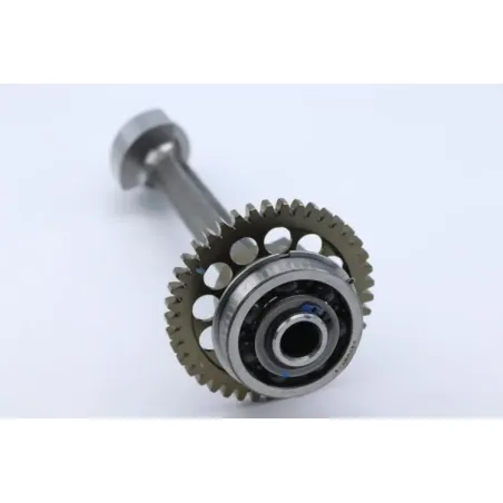 Arbre equilibrage TRIUMPH STREET TRIPLE 765 RS ABS 2023 - 2024