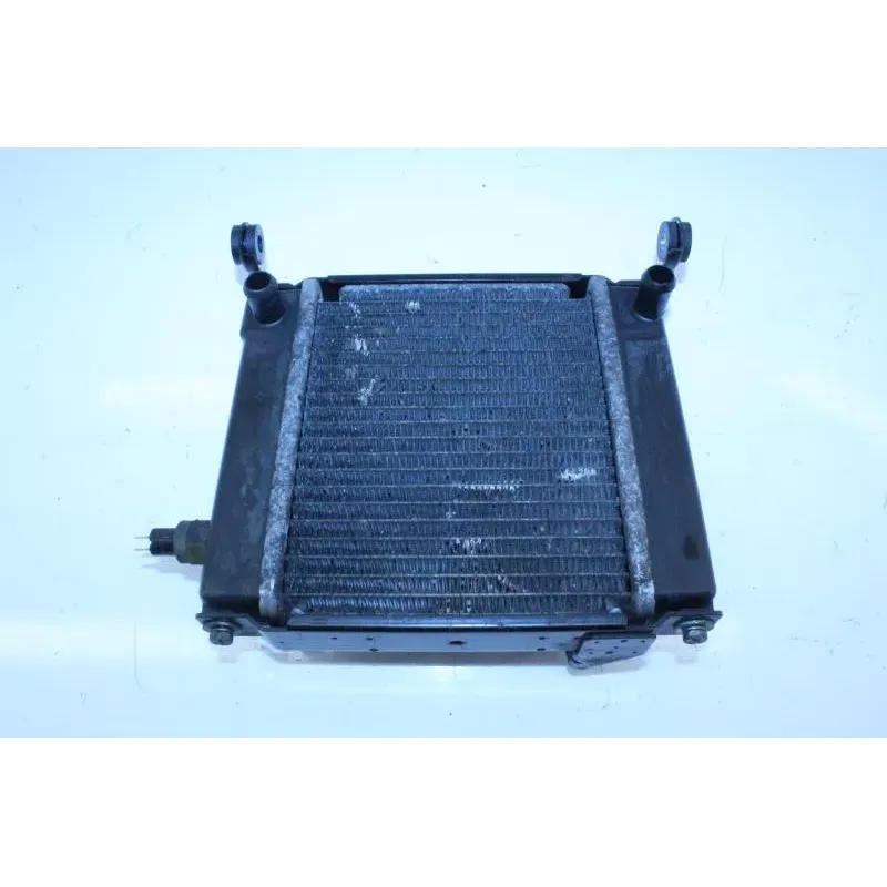 Radiateur eau KYMCO DINKSTREET 300 ABS 2013 - 2014