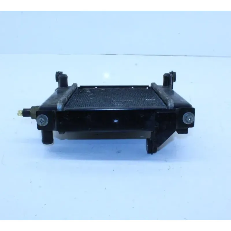 Radiateur eau KYMCO DINKSTREET 300 ABS 2013 - 2014