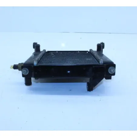 Radiateur eau KYMCO DINKSTREET 300 ABS 2013 - 2014