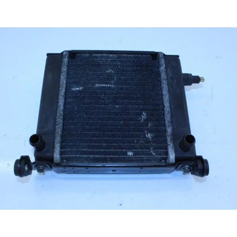 Radiateur eau KYMCO DINKSTREET 300 ABS 2013 - 2014