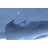 Passage de roue SYM FIDDLE III 125 2014 - 2017