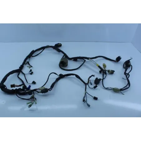 Faisceau electrique HONDA CBF 500 2004 - 2007