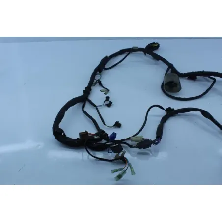 Faisceau electrique HONDA CBF 500 2004 - 2007