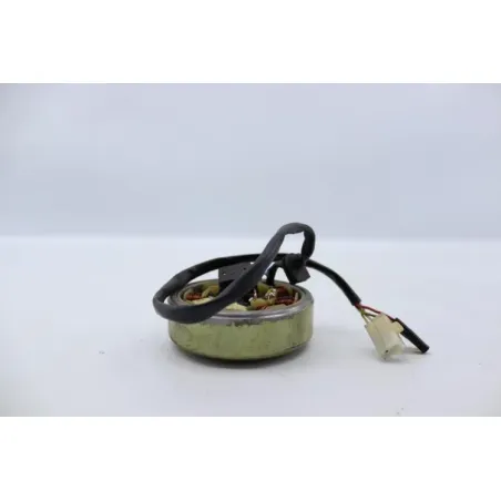 Rotor volant moteur EUROCKA QT 50 2017 - 2018