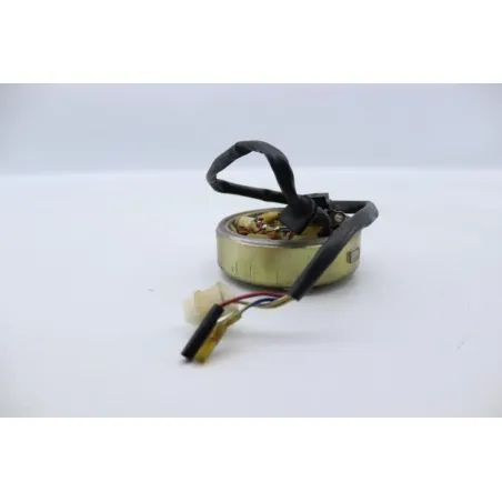 Rotor volant moteur EUROCKA QT 50 2017 - 2018