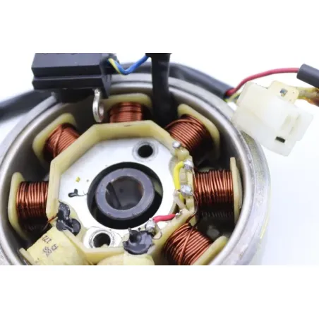 Rotor volant moteur EUROCKA QT 50 2017 - 2018