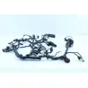 Faisceau electrique HONDA CB 650 F ABS 2014 - 2016 Faisceau electrique HONDA CB 650 F ABS 2014 - 2016