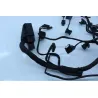 Faisceau electrique BMW F 800 R 2017 - 2019 Faisceau electrique BMW F 800 R 2017 - 2019