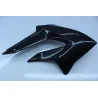 Ecope radiateur droit GILERA SMT 50 2012 - 2015 Ecope radiateur droit GILERA SMT 50 2012 - 2015