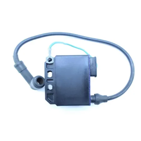 Bobine allumage RIEJU RS2 50 2009 - 2010