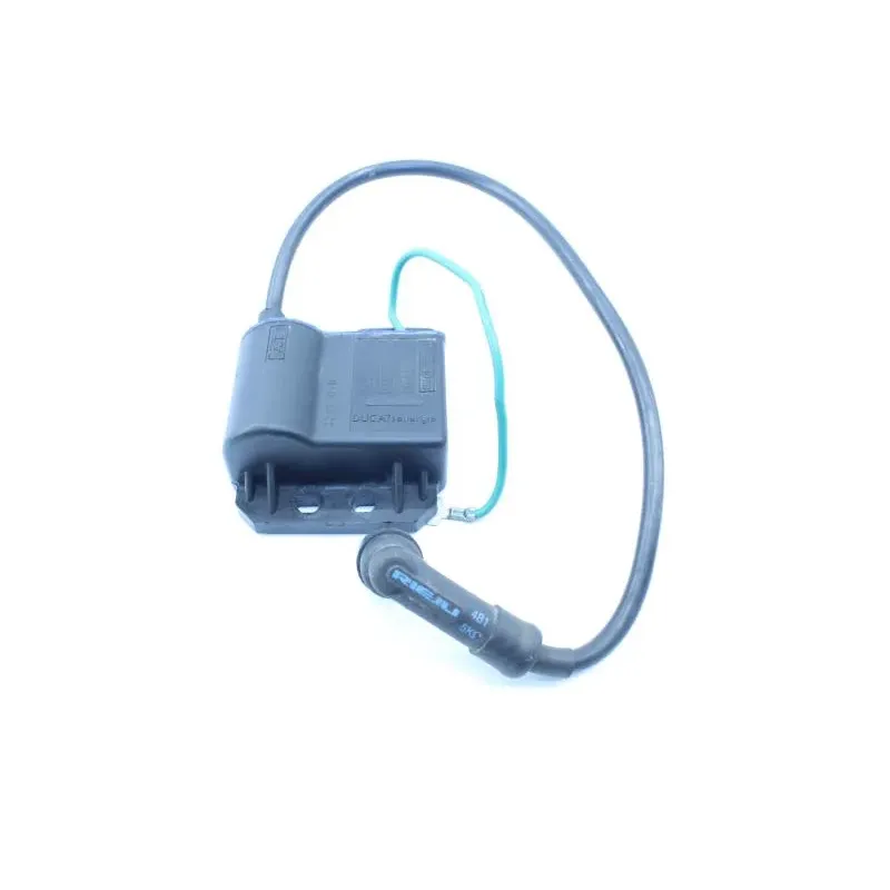 Bobine allumage RIEJU RS2 50 2009 - 2010