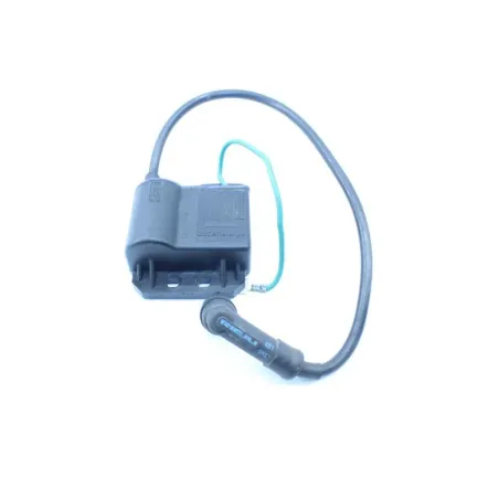 Bobine allumage RIEJU RS2 50 2009 - 2010
