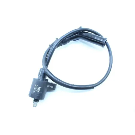Bobine allumage VASTRO ONE 50 R 2014 - 2016