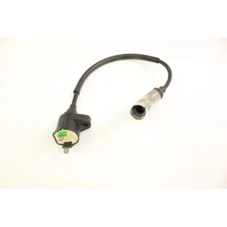 Bobine allumage WANGYE QT 50 2015 - 2015