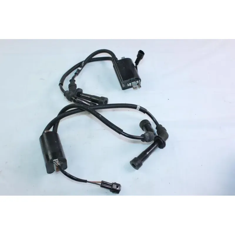 Bobine allumage SUZUKI SV 650 N 2008 - 2010