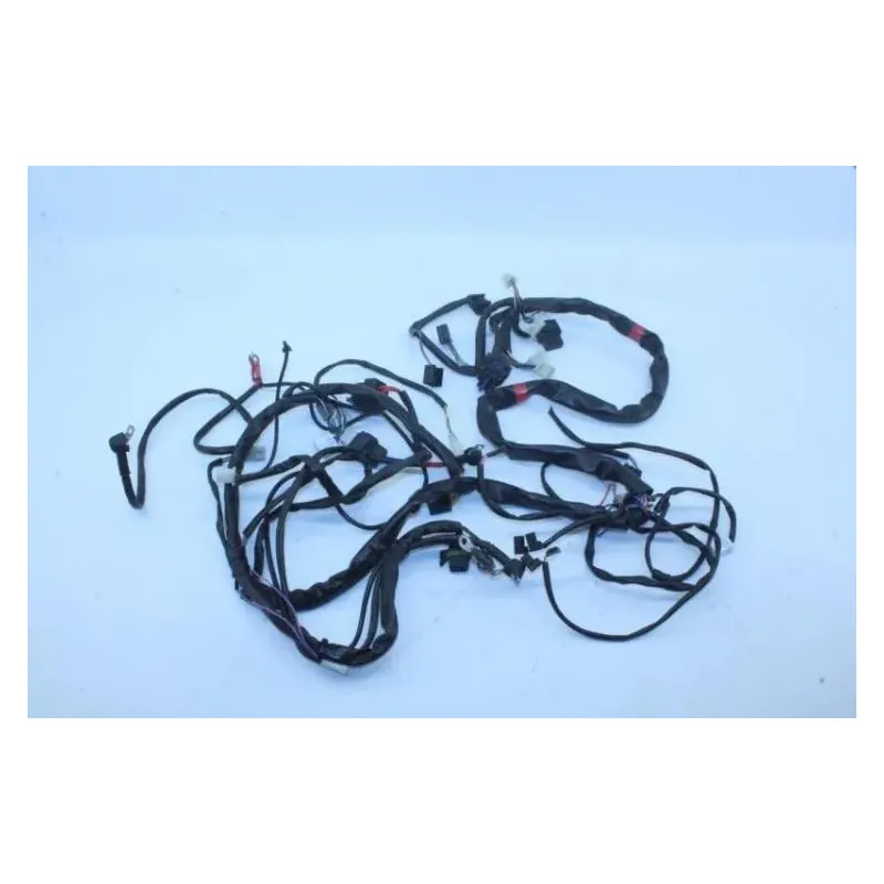 Faisceau electrique APRILIA ATLANTIC 125 2006 - 2008