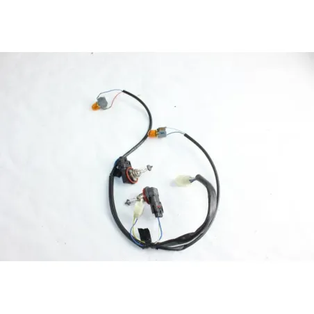 Faisceau electrique APRILIA ATLANTIC 125 2006 - 2008
