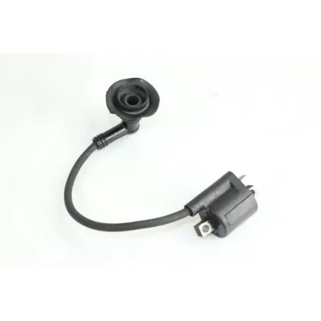 Bobine allumage YAMAHA CW 50 BWS 2004 - 2012