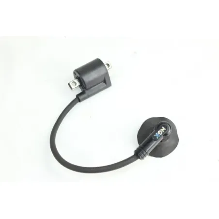 Bobine allumage YAMAHA CW 50 BWS 2004 - 2012