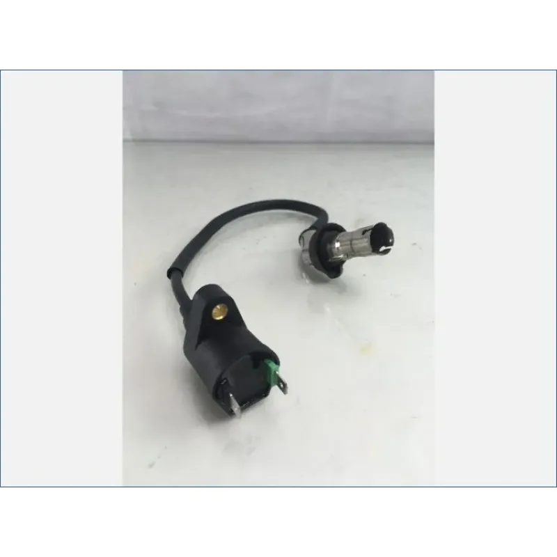 Bobine allumage EUROCKA GY 50 2015 - 2015