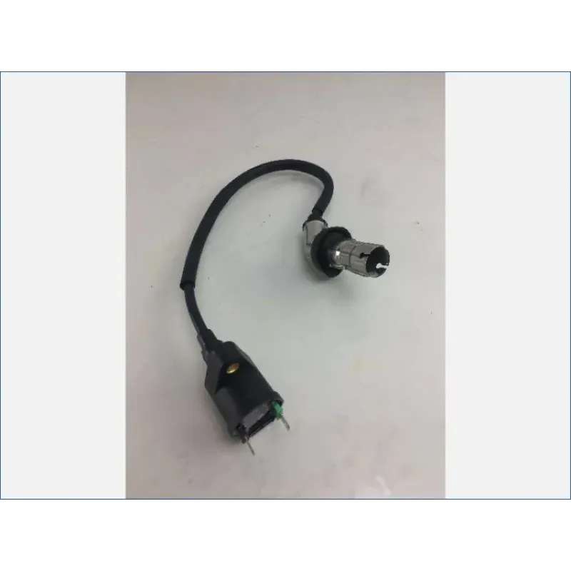 Bobine allumage EUROCKA GY 50 2015 - 2015