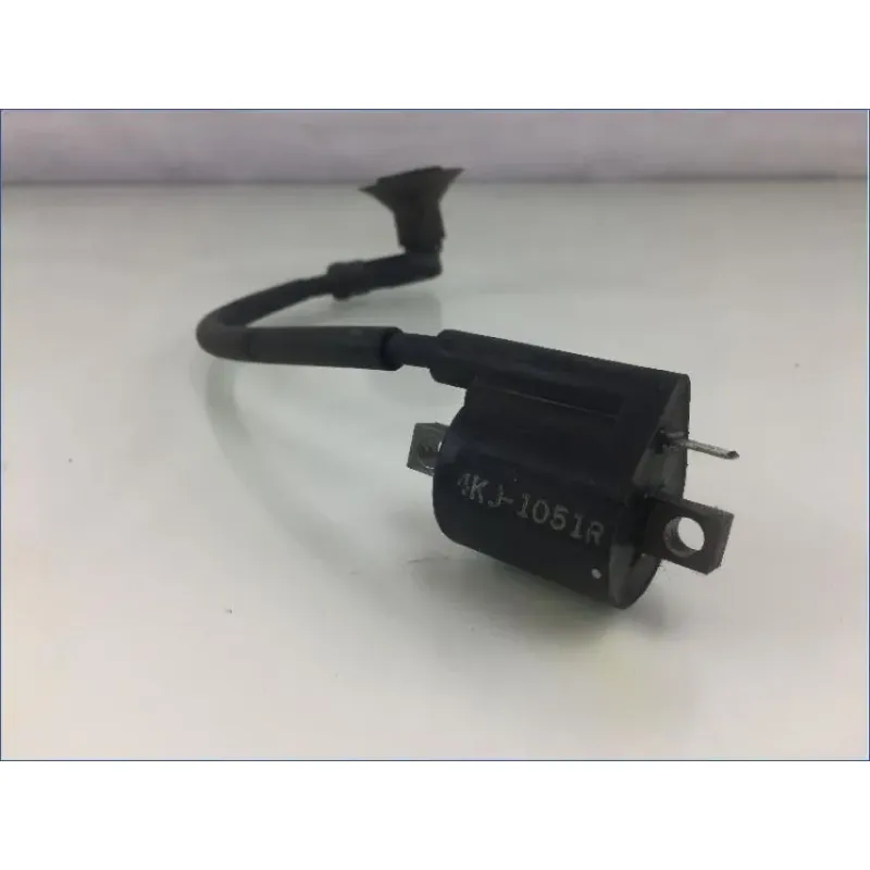 Bobine allumage YAMAHA CW 50 BWS 2013 - 2018