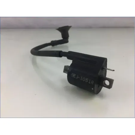 Bobine allumage YAMAHA CW 50 BWS 2013 - 2018