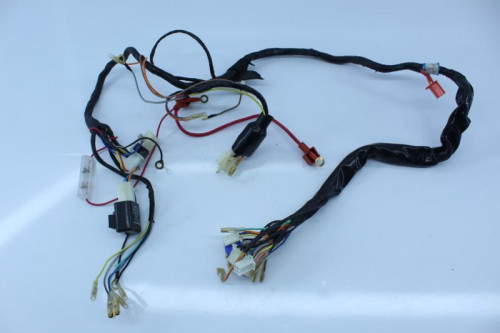 Faisceau electrique ZHENHUA DAX 50 CITY 1 2013 - 2018