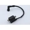 Bobine allumage MBK CW 50 BOOSTER 2004 - 2018