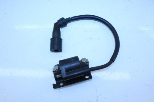 Bobine allumage YAMAHA XMAX 125 06-09