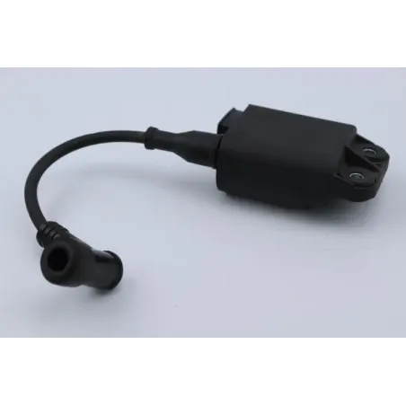 Bobine allumage GILERA STALKER 50 1997 - 2004