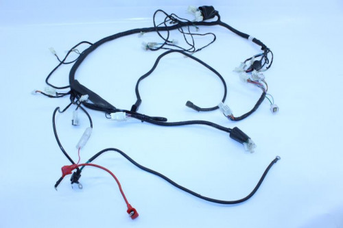 Faisceau electrique MAGPOWER 50 R-STUNT 2015 - 2019