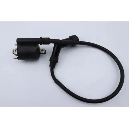 Bobine allumage HONDA SH 125 2009 - 2012