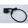 Bobine allumage HONDA SH 125 2009 - 2012