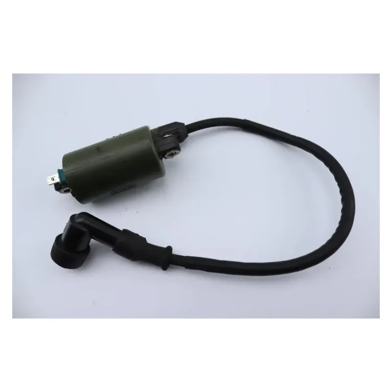 Bobine allumage HONDA NSS 250 FORZA ABS 2005 - 2006