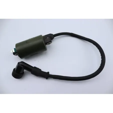Bobine allumage HONDA NSS 250 FORZA ABS 2005 - 2006