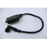 Bobine allumage HONDA NSS 250 FORZA ABS 2005 - 2006 Bobine allumage HONDA NSS 250 FORZA ABS 2005 - 2006