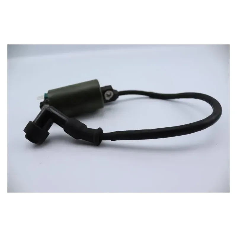 Bobine allumage HONDA NSS 250 FORZA ABS 2005 - 2006