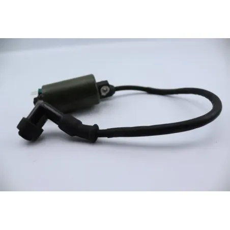 Bobine allumage HONDA NSS 250 FORZA ABS 2005 - 2006