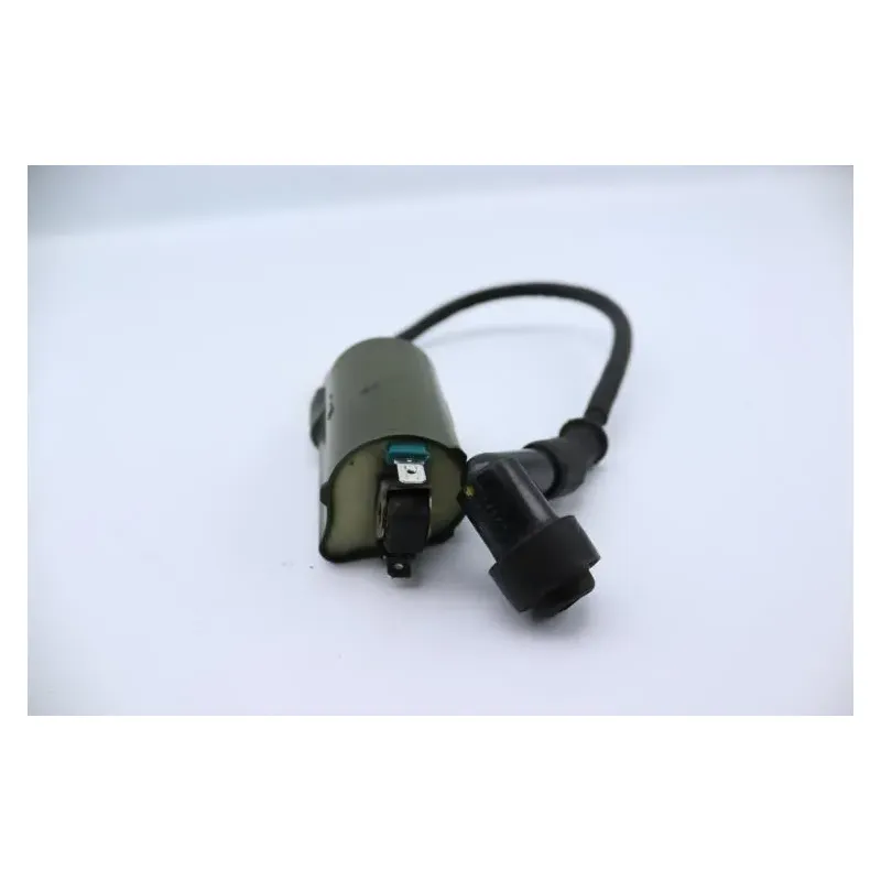 Bobine allumage HONDA NSS 250 FORZA ABS 2005 - 2006
