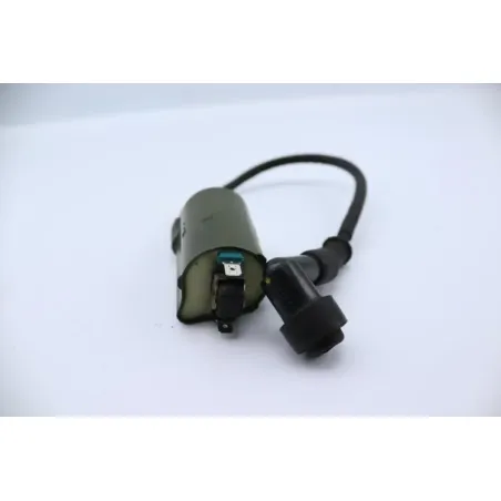 Bobine allumage HONDA NSS 250 FORZA ABS 2005 - 2006